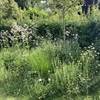 Streektuin.jpg