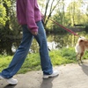 hond_uitlaten.jpg