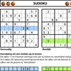 Sudoku-combinatie-Nestas-sept_-2017.jpg