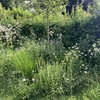 Help de natuur overleven